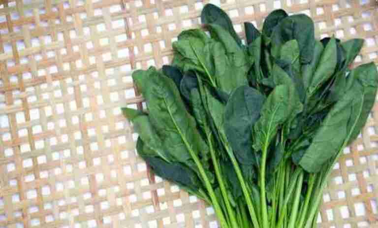 Health benefits of spinach