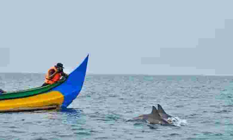 Activities to do in South Goa