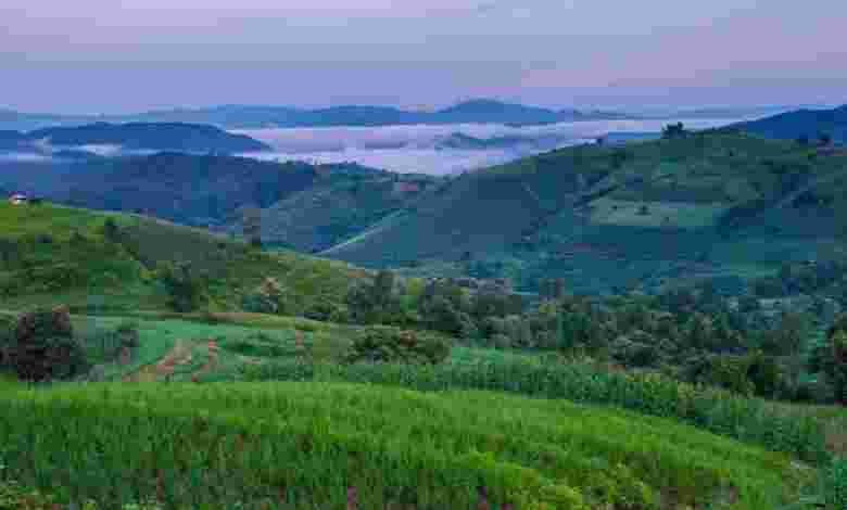 Araku Valley, Andhra Pradesh