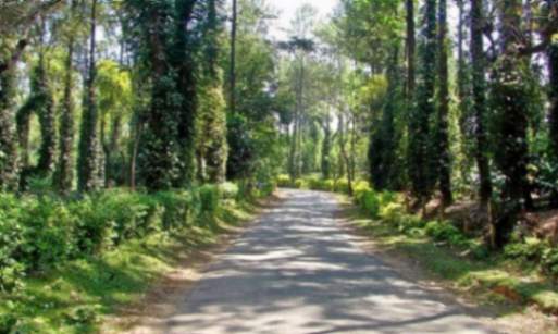 Chettalli