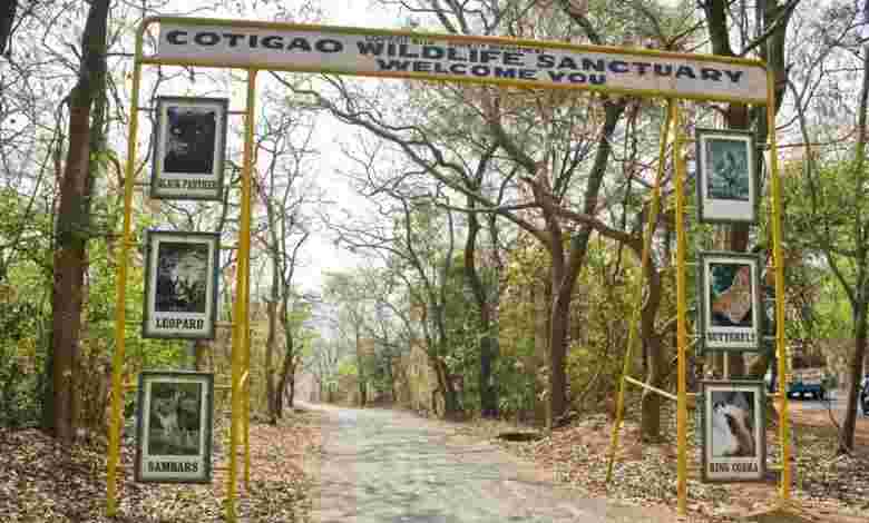 Cotigao Wildlife Sanctuary, South Goa