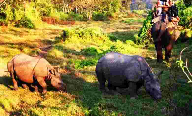 Cotigao Wildlife Sanctuary