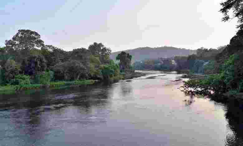 Dandeli