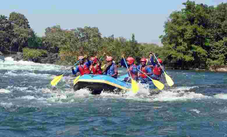 Dandeli