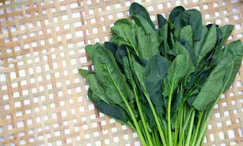 Health benefits of spinach