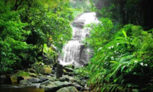 Honey Valley