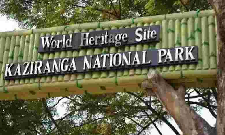 Kaziranga National Park, Assam