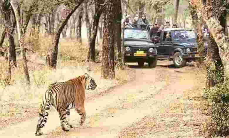 Mhadei Wildlife Sanctuary