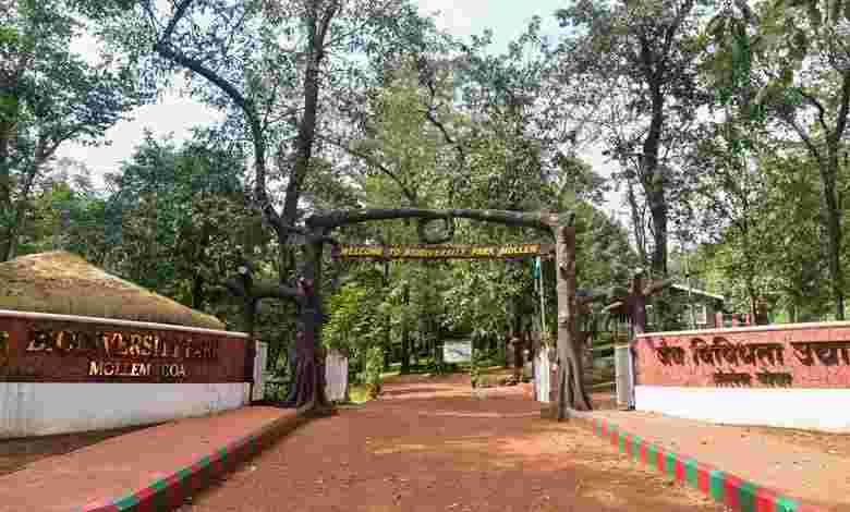 Mollem National Park, South Goa