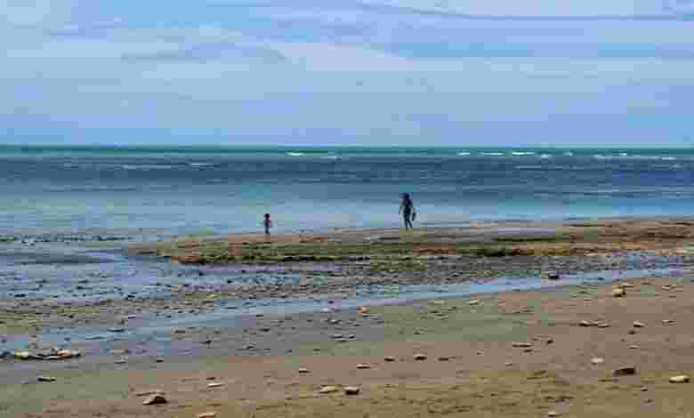 Morjim Beach