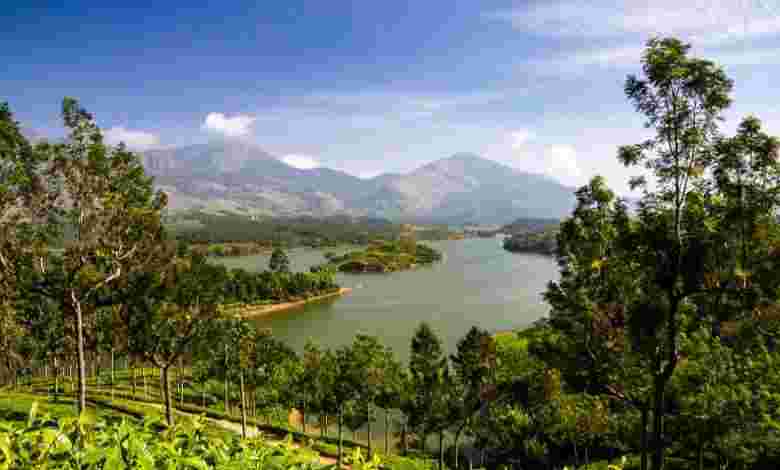 Munnar, Kerala
