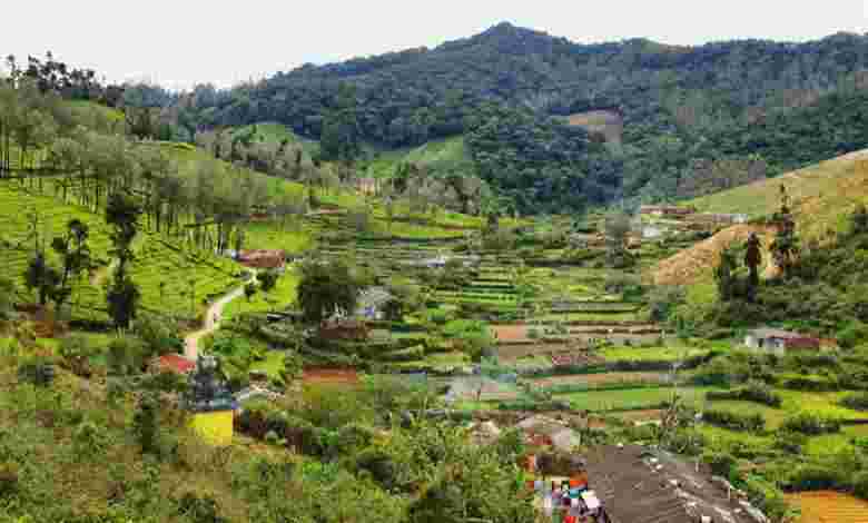 Ooty, Tamil Nadu