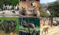 Top 7 Wildlife Sanctuaries in Goa