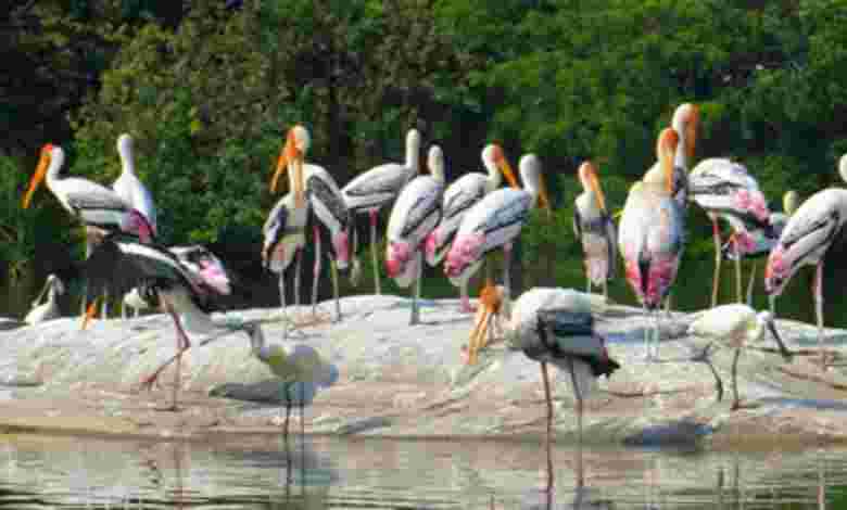 Salim Ali Bird Sanctuary