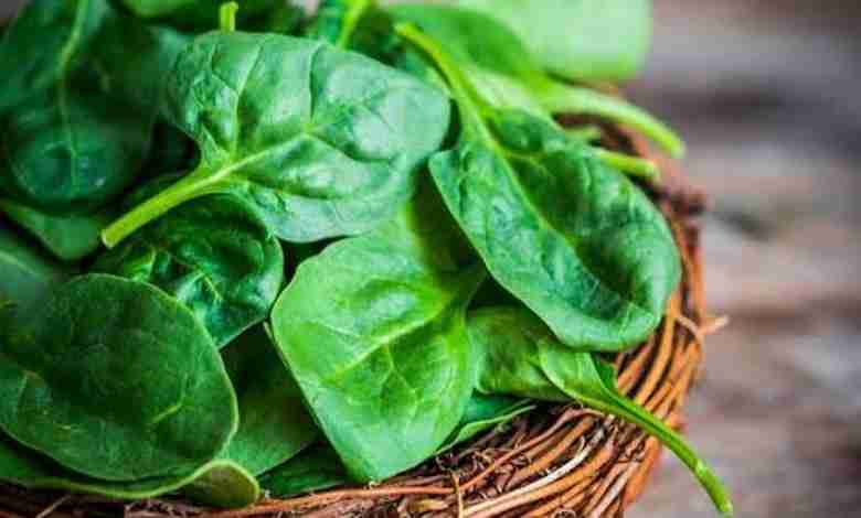 Side Effects of Spinach