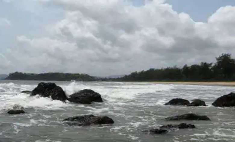 Talpona Beach, South Goa