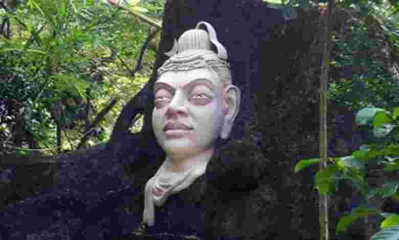 Things to do in South Goa with Family
