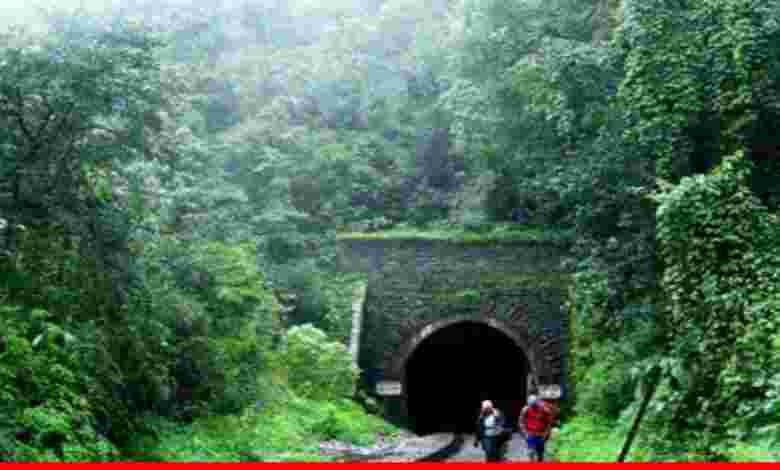 Trekking to Dudhsagar Falls