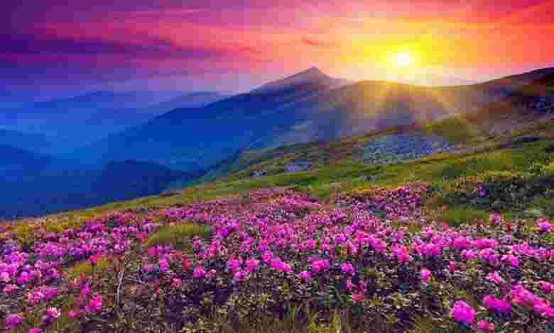 Valley of Flowers National Park and Nanda Devi- Uttarakhand