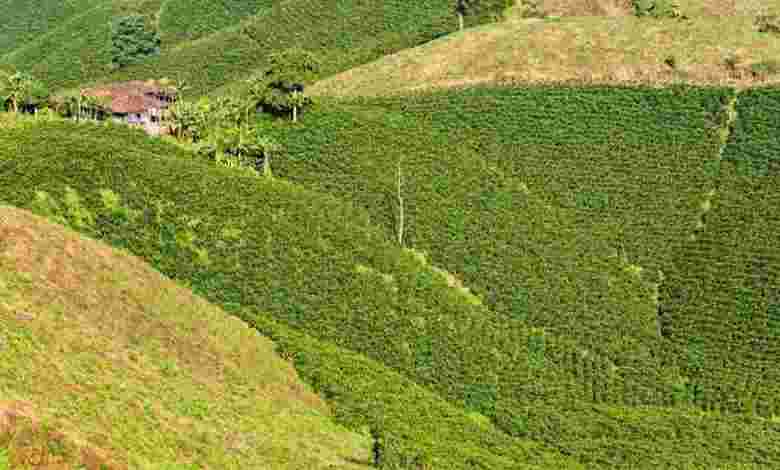Valparai, Tamil Nadu