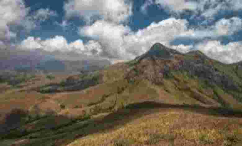 Western Ghats, Kerala, to Tamil Nadu, to Karnataka