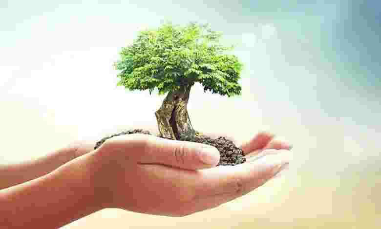 World Environment Day